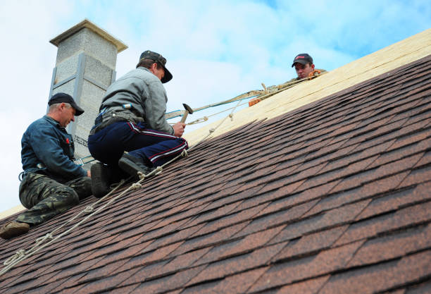 Best Metal Roofing Contractor  in Ames, TX